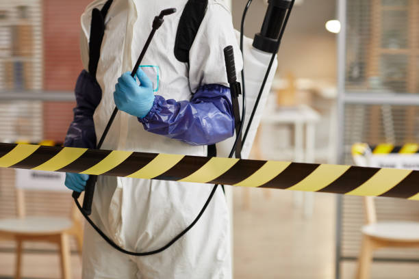 Professional Sewage Cleanup technician working in Paris, IL